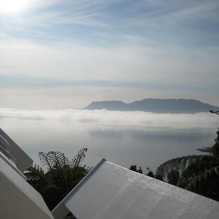 Te Whare -Lake Tarawera Tree-Top Nest Extérieur photo