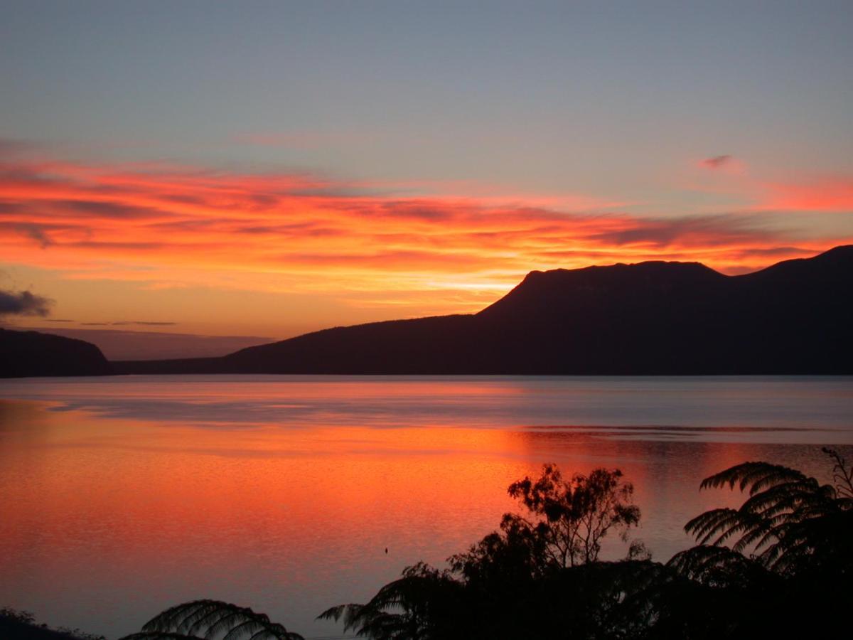 Te Whare -Lake Tarawera Tree-Top Nest Extérieur photo